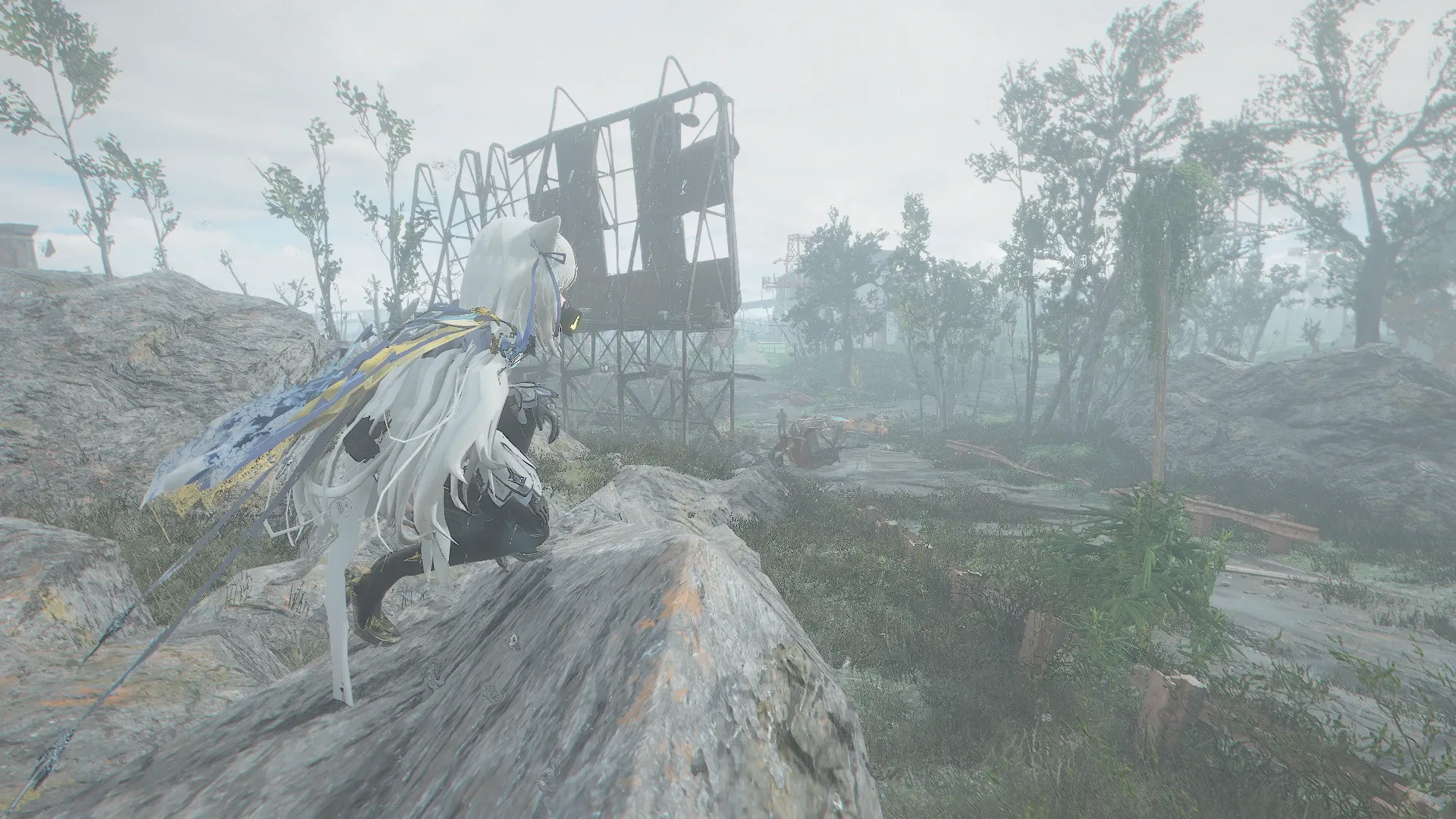 写真: コンコード周辺に戻り、ある岩の上に立ち、周囲を偵察するSizryavka