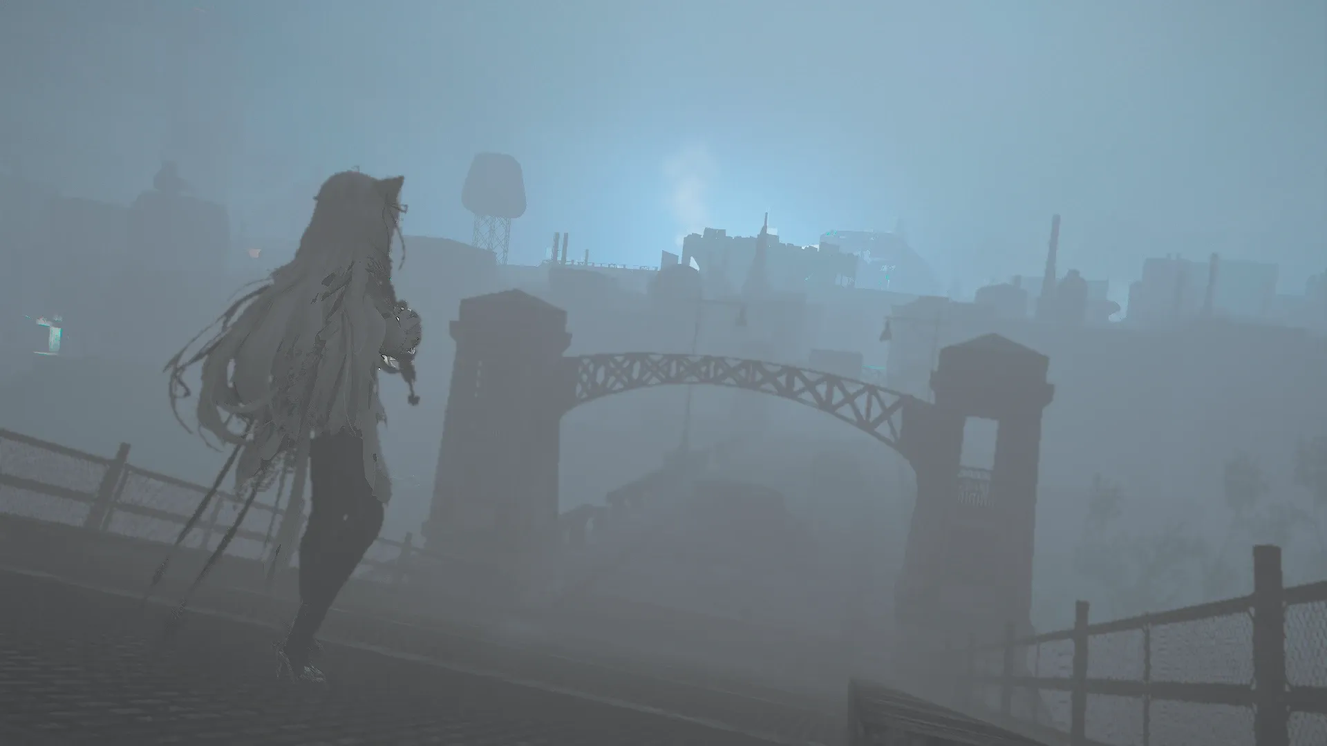 写真: 橋を超えている最中。霧に覆われる先を慎重に進むSizryavkaを背後から写している