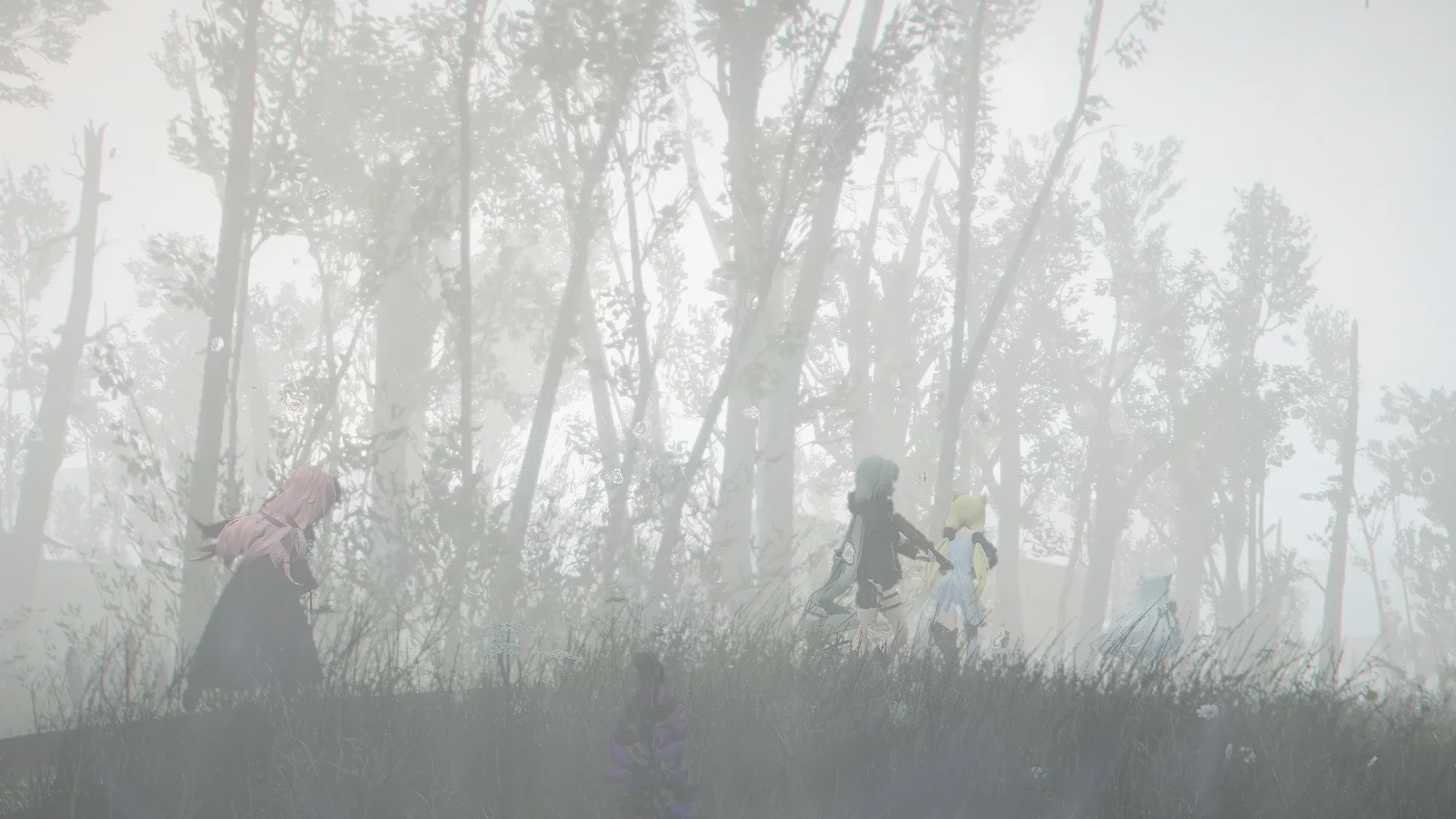 写真: 霧に包まれた森林地帯を進む人形達