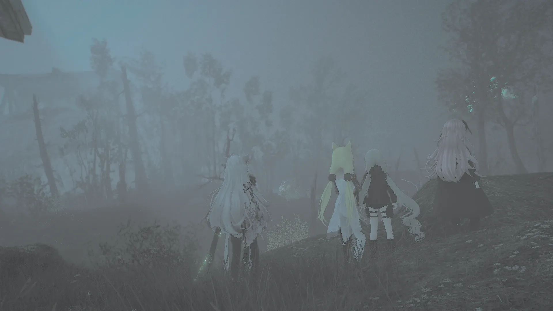 写真: 暗く霧の覆う深夜の森を進む人形達