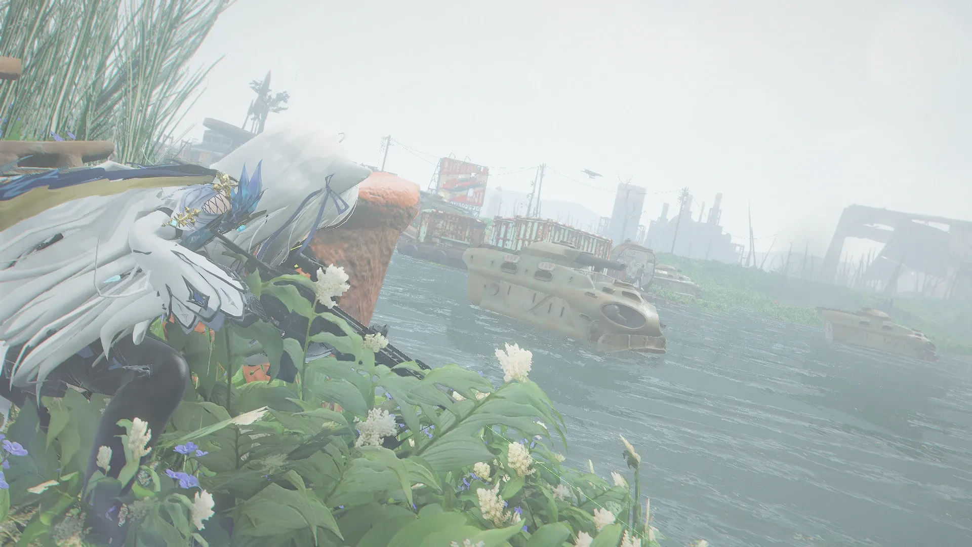 写真: 草陰から様子を伺うSizryavka