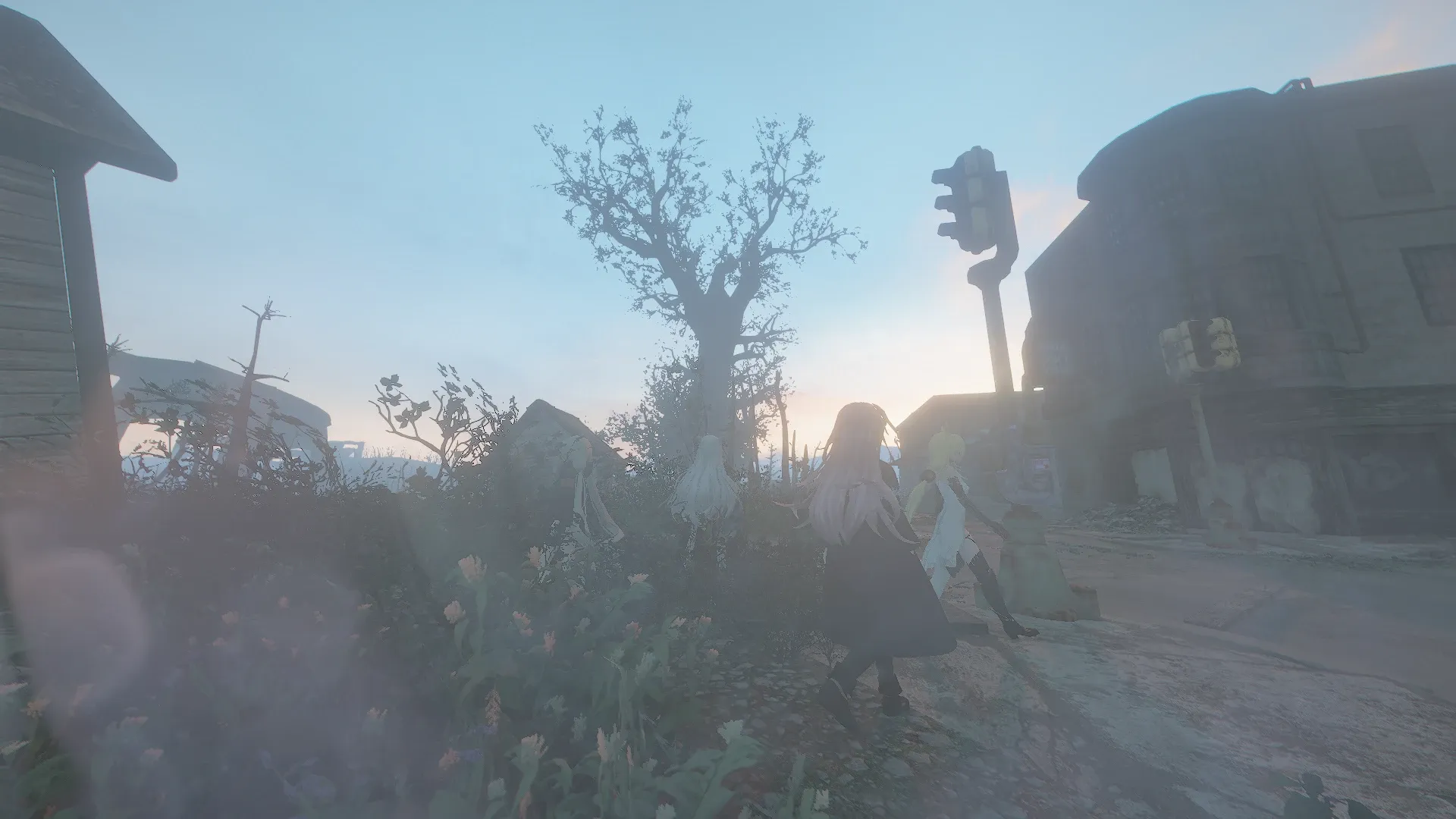 写真: 夕焼けの光が郊外に佇む大きな大樹を照らしている中、歩く人形達