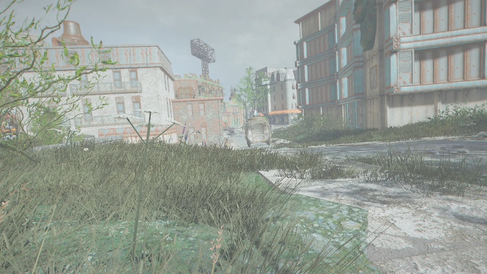 写真: 付近に生えている花々が揺れる中、Sizryavkaは初めての遠征に旅立つ