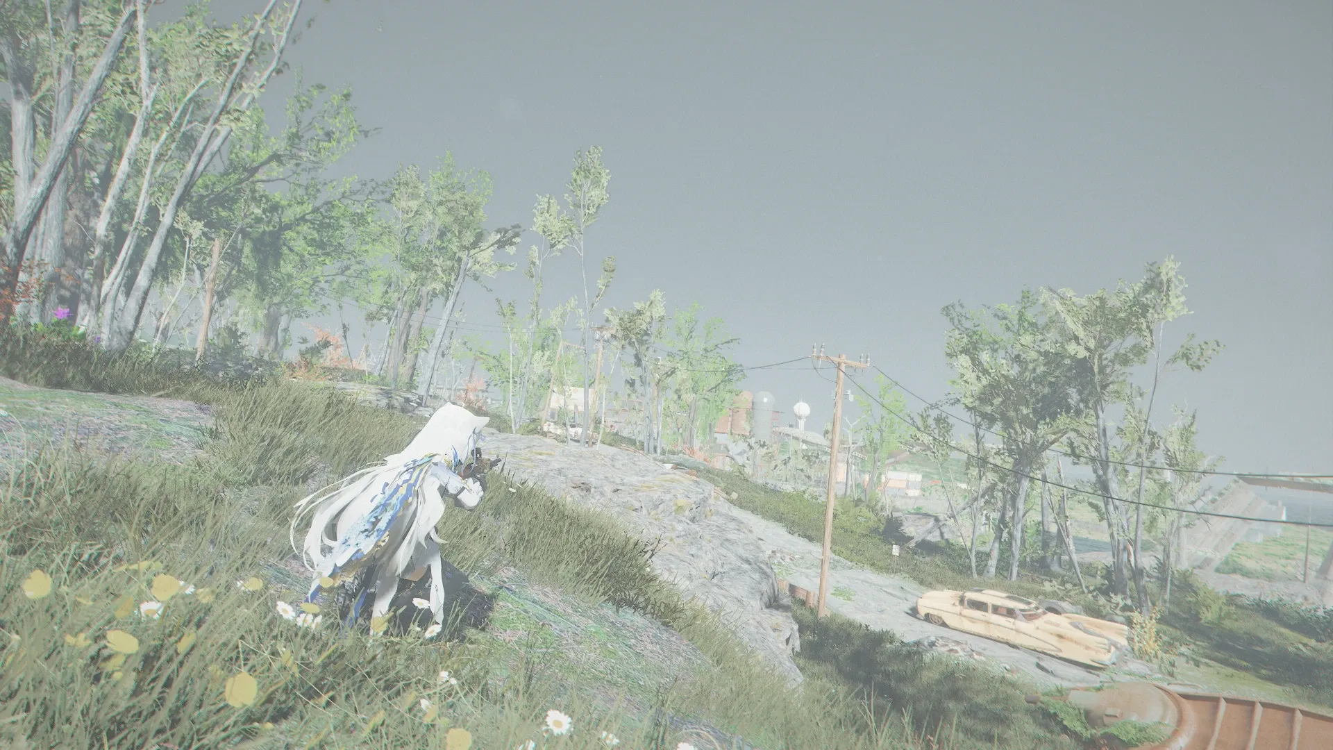 写真: 遠くから鳴り響く銃声に警戒するSizryavka