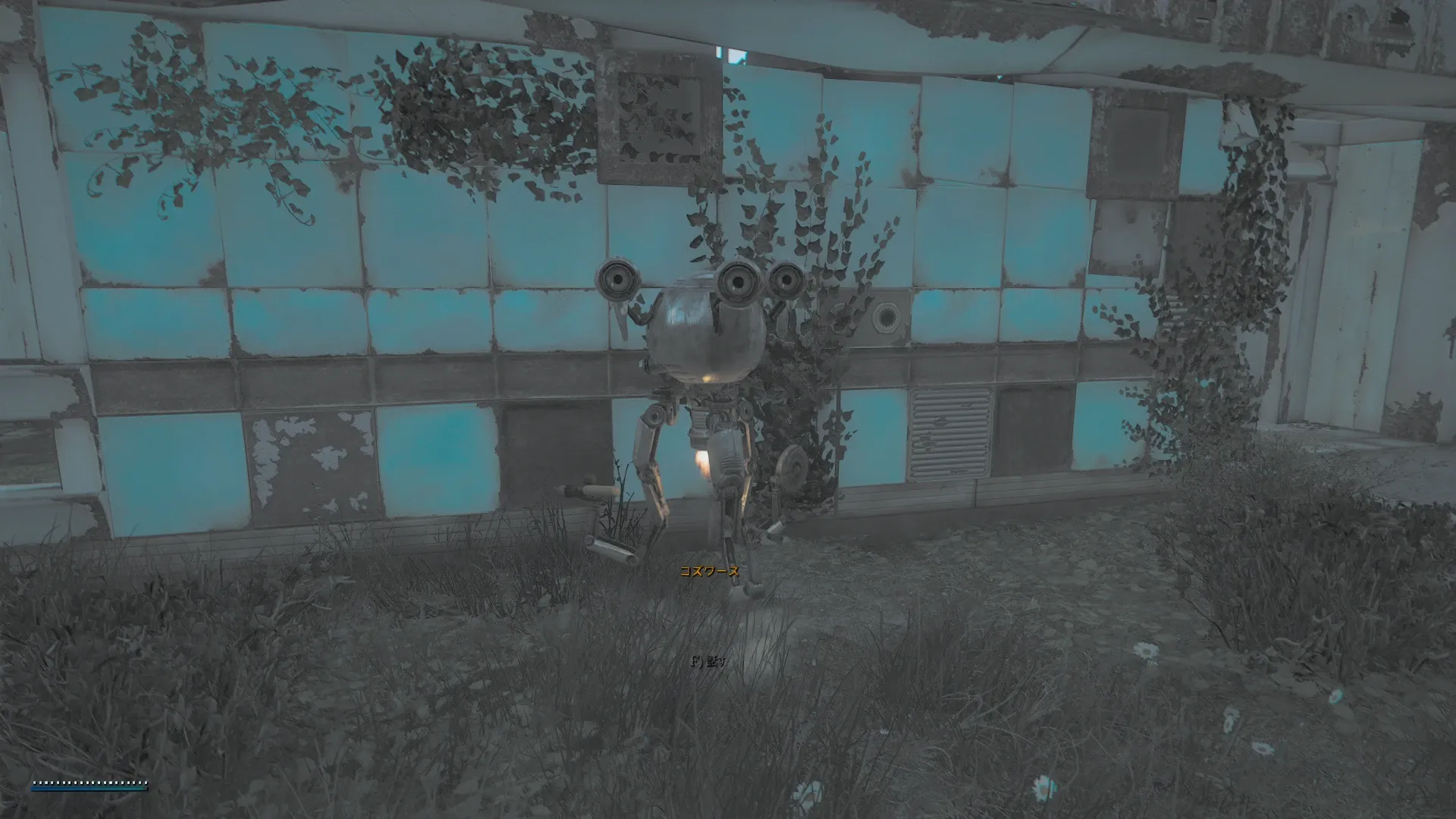 写真: コズワースが写っている