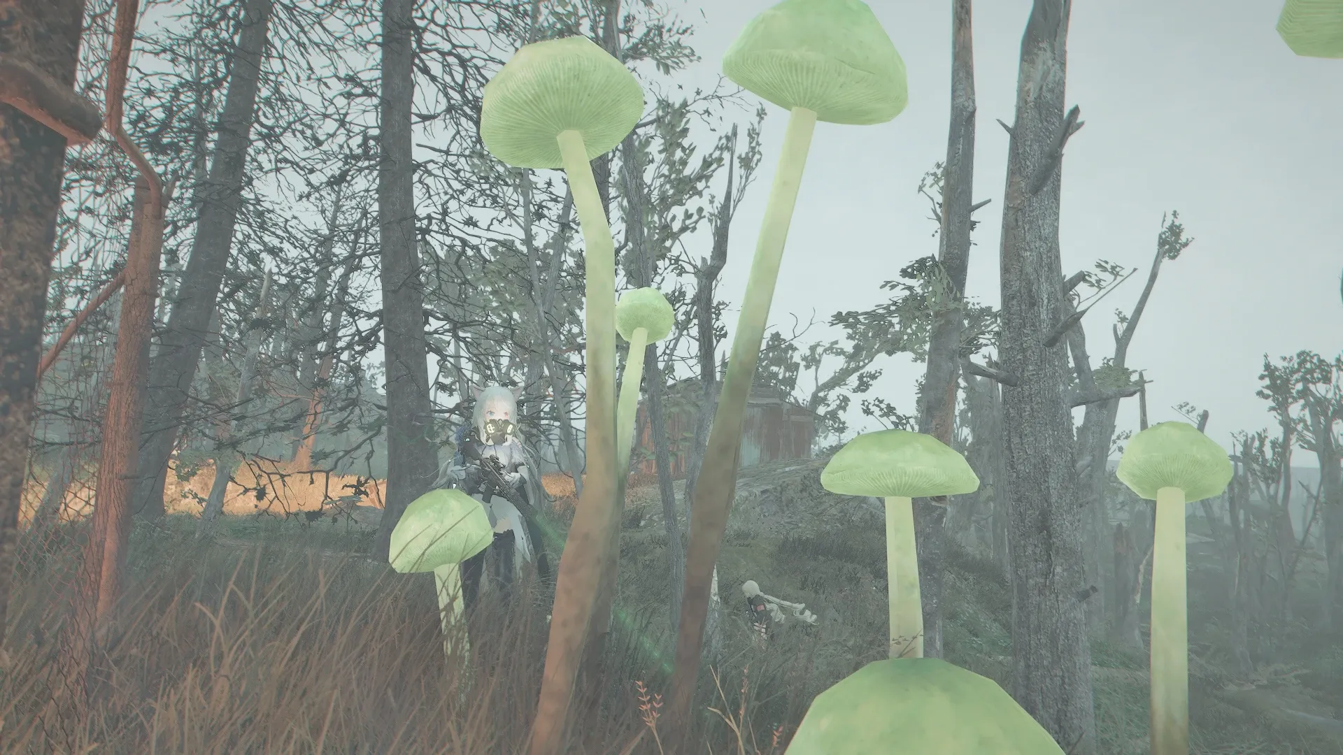 写真: 爆心地の外縁を歩いていると、光り輝く謎のキノコや、植物がすぐそこまで根を伸ばしている様を確認できた。