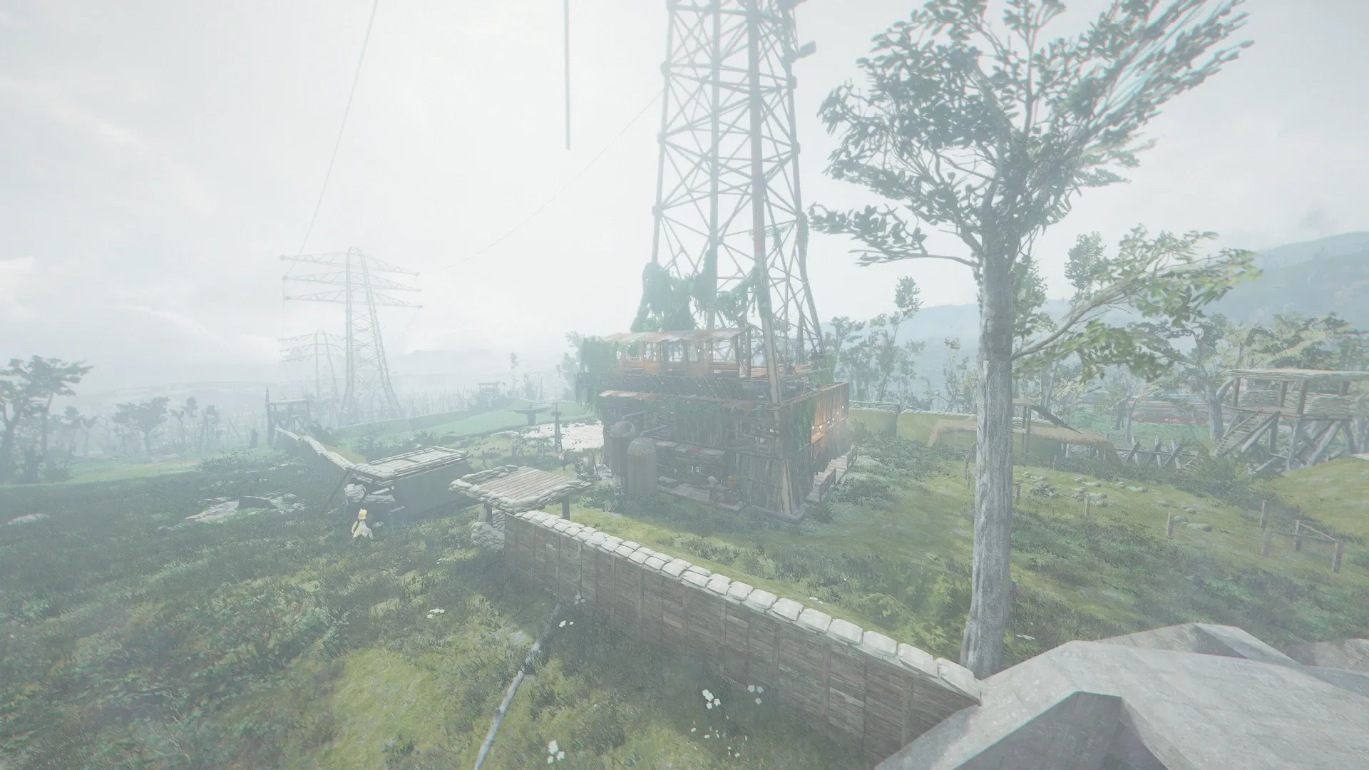 写真: サンクチュアリ近郊にあるアパナシーファーム。あれからここも手入れを行い、土地の広さを生かした拠点になるように改築を進めている。